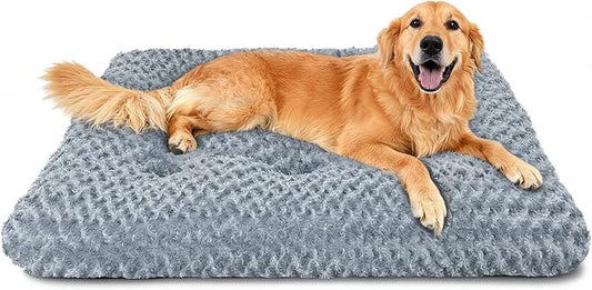 A Tired Dog Is a Quiet Dog. This Is Where That Starts.